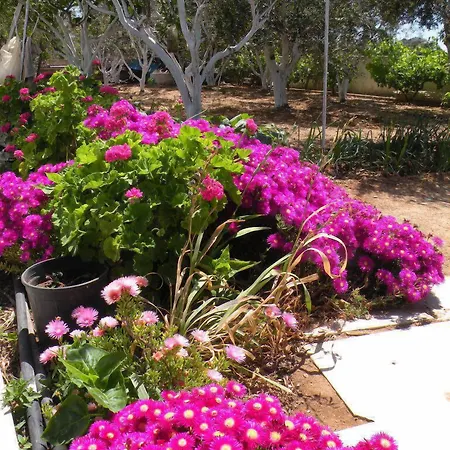 Apartahotel Remvi Pounda