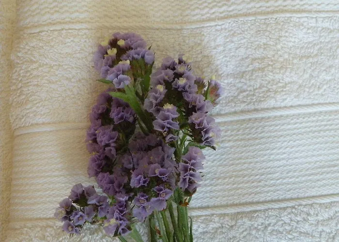 Remvi Studios Aparthotel Pounda