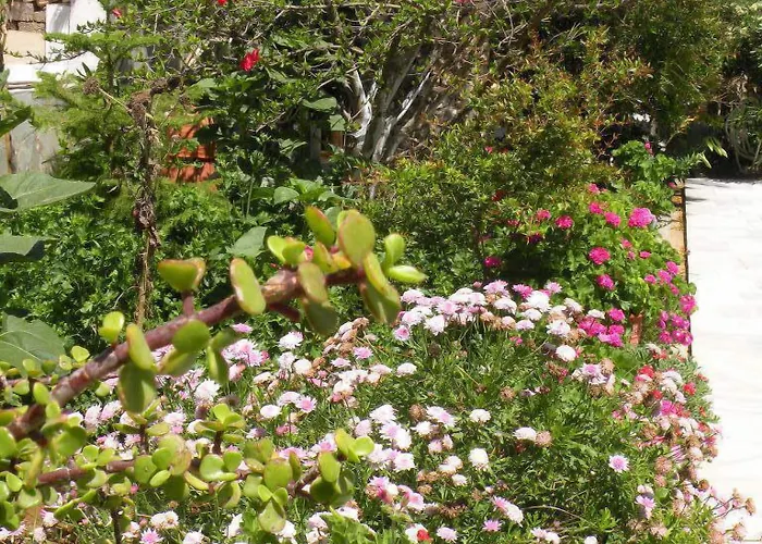 Remvi Studios Aparthotel Pounda