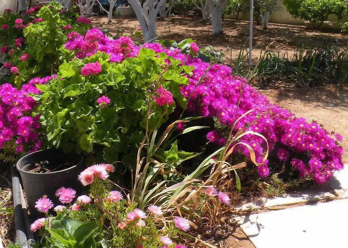 Aparthotel Remvi Studios Pounda