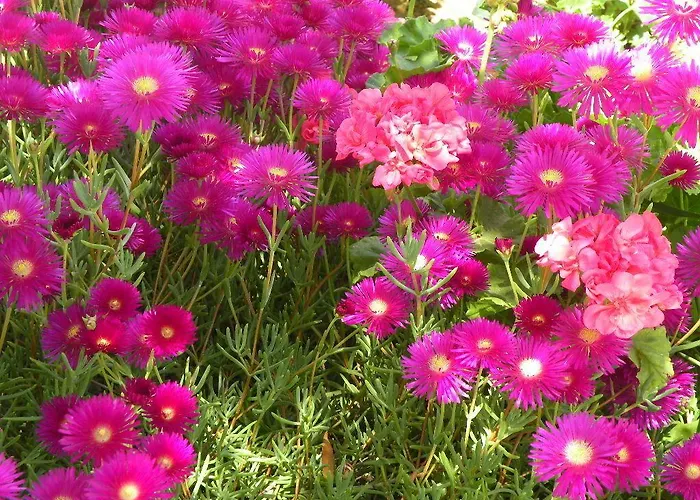 Aparthotel Remvi Studios 3*