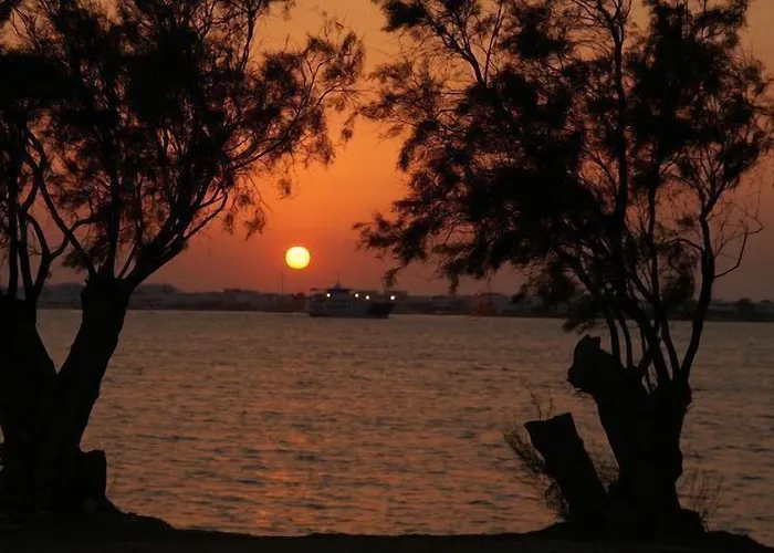 Remvi Studios Pounda